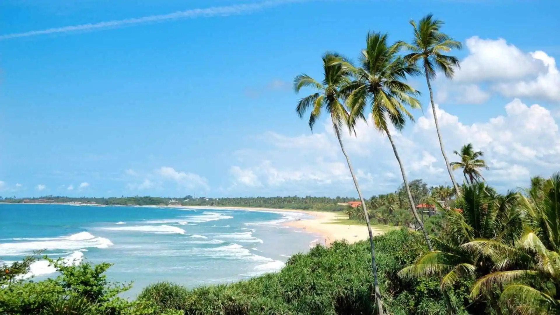 banner-image